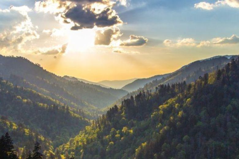 Smoky Mountain Guide