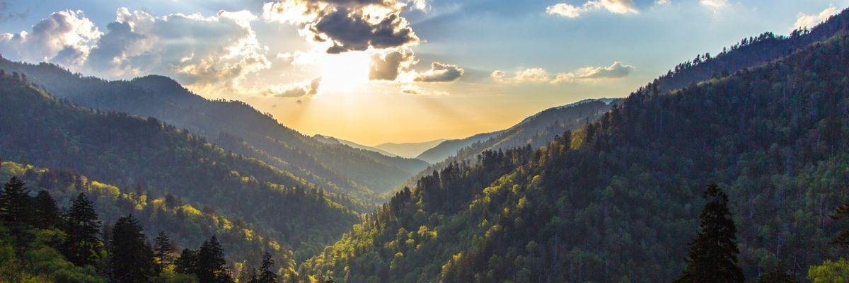 Smoky Mountain Guide