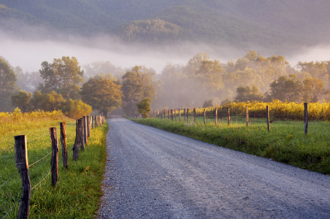 Cades Cove road in bright, spring colors and fog.