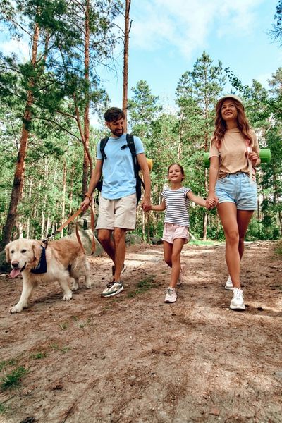 <span>Pet Friendly</span> Rentals callout