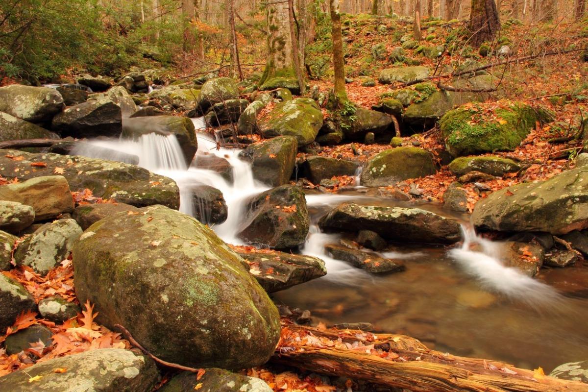 Hiking trail in the Great Smoky Mountain National Park with Creek.