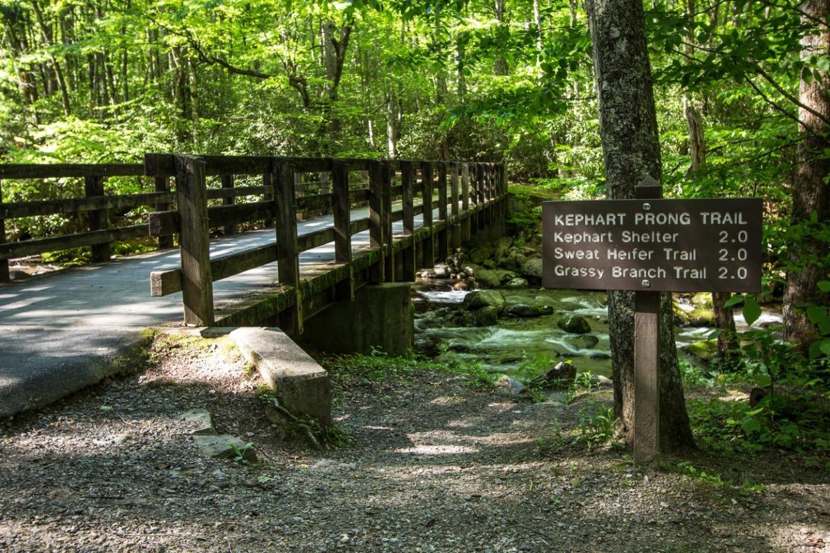 The Kephart Prong Trailhead with a wooden footbridge crossing a small mountain stream in the Great Smoky National Park
